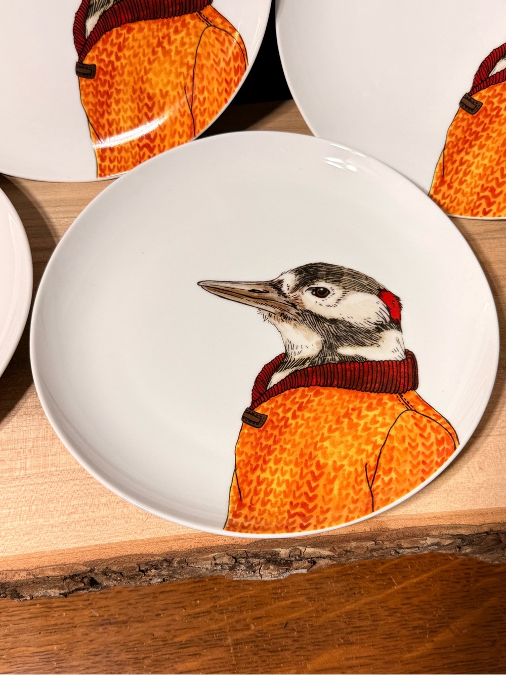 WEST ELM Rachel Kozlowski Dapper Animal Woodpecker Sweater 8.5" Salad Plate (4)